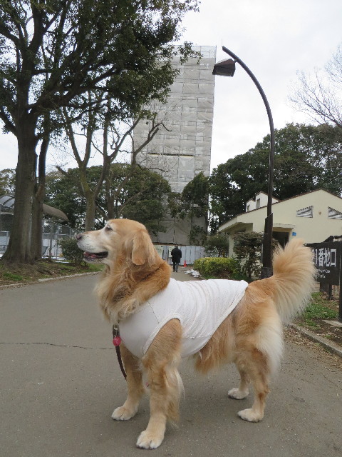 ファイル 4117-1.jpg