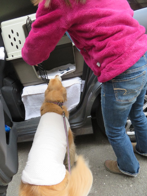 ファイル 4117-2.jpg