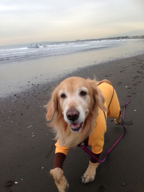 ファイル 4118-1.jpg