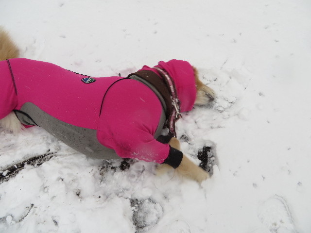 ファイル 4119-2.jpg