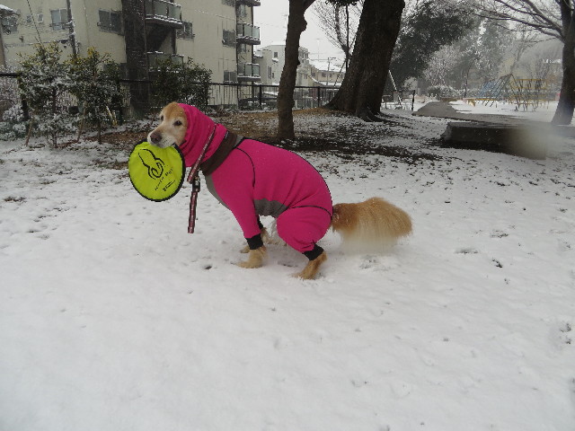 ファイル 4119-4.jpg