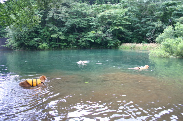 ファイル 412-4.jpg