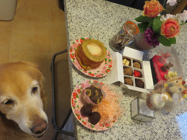 ファイル 4121-1.jpg