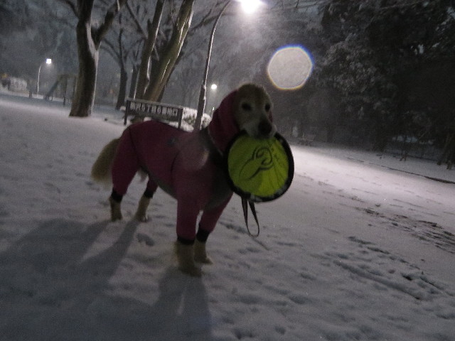 ファイル 4122-2.jpg