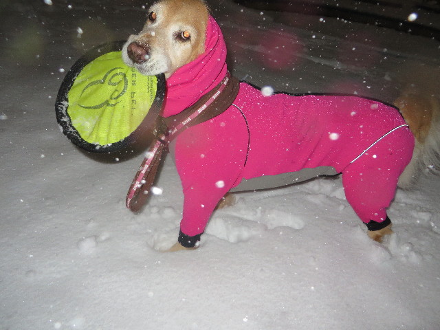 ファイル 4122-3.jpg