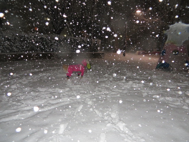 ファイル 4122-4.jpg