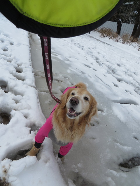 ファイル 4123-1.jpg