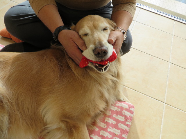 ファイル 4125-5.jpg