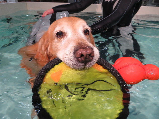 ファイル 4126-4.jpg