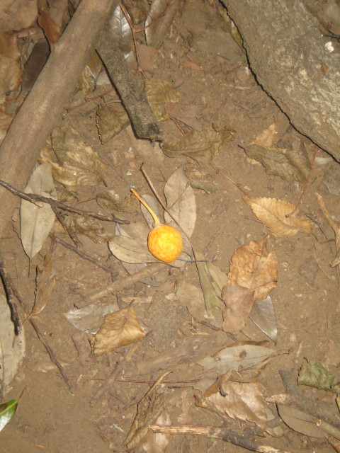 ファイル 413-1.jpg