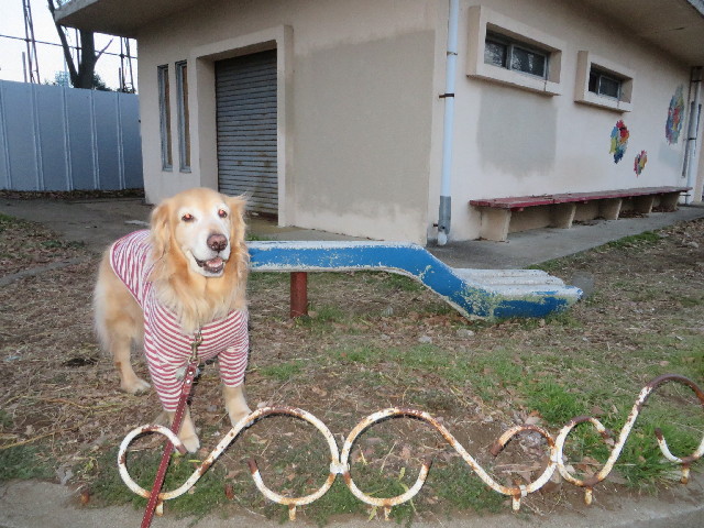 ファイル 4130-2.jpg