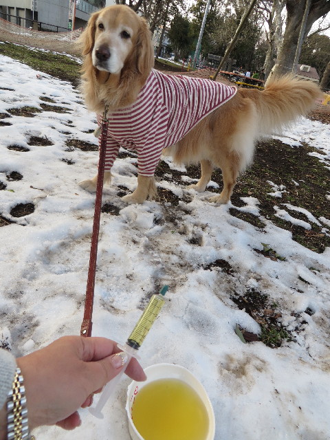 ファイル 4132-1.jpg