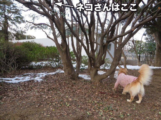 ファイル 4132-3.jpg