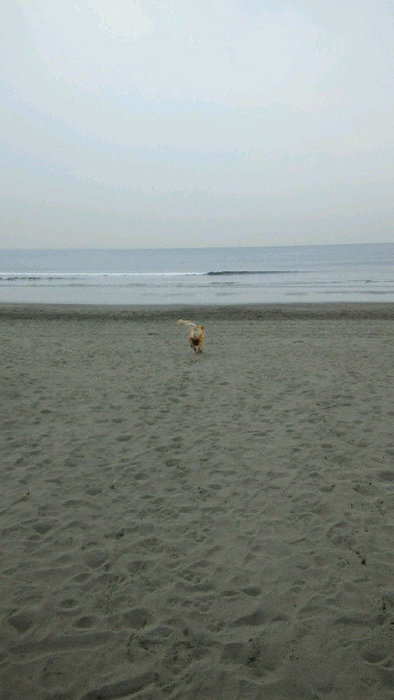 ファイル 4133-2.jpg