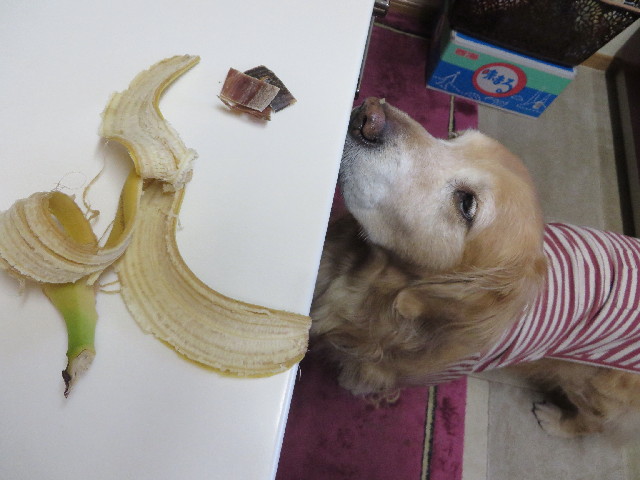 ファイル 4133-4.jpg