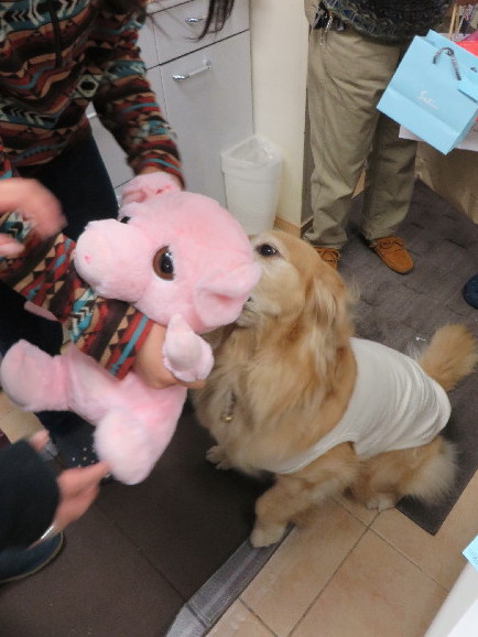 ファイル 4135-5.jpg