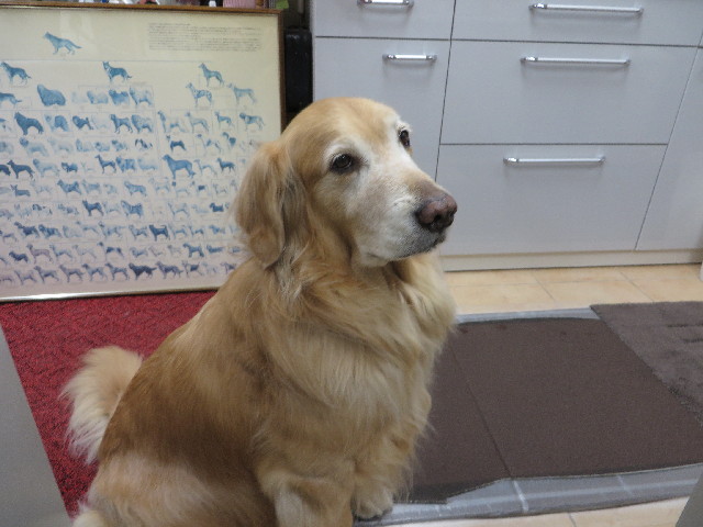 ファイル 4136-3.jpg