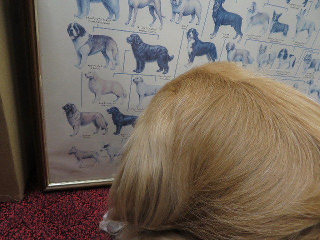 ファイル 4136-4.jpg