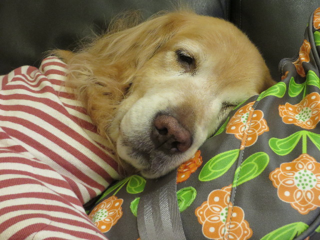 ファイル 4137-5.jpg