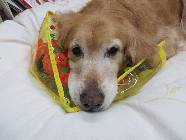 ファイル 4139-3.jpg