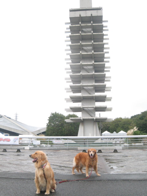 ファイル 414-5.jpg