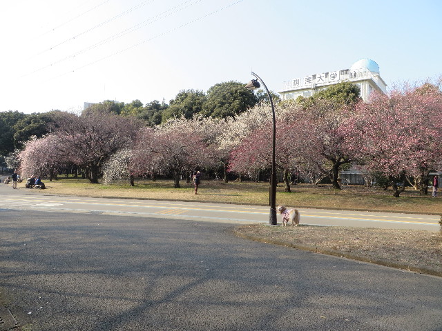 ファイル 4140-1.jpg