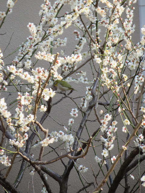 ファイル 4140-5.jpg