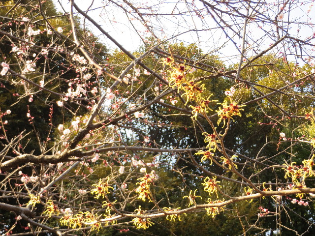 ファイル 4141-3.jpg