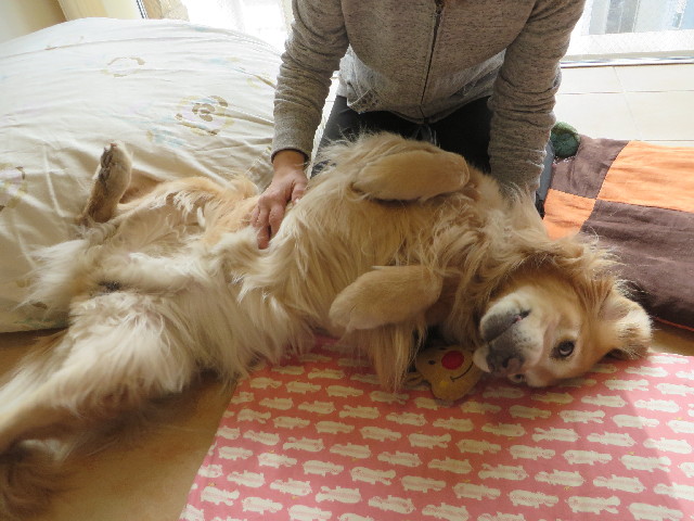 ファイル 4143-3.jpg