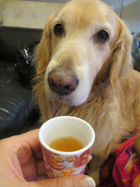 ファイル 4146-2.jpg