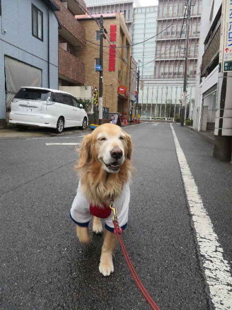 ファイル 4146-3.jpg