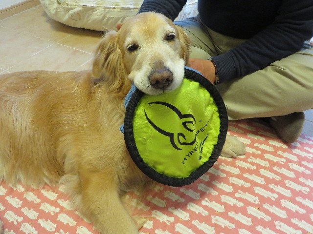 ファイル 4146-5.jpg