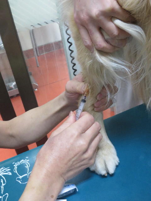 ファイル 4147-3.jpg