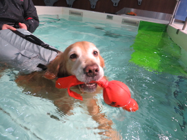 ファイル 4148-2.jpg