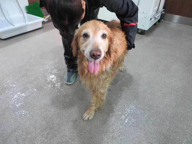 ファイル 4148-4.jpg