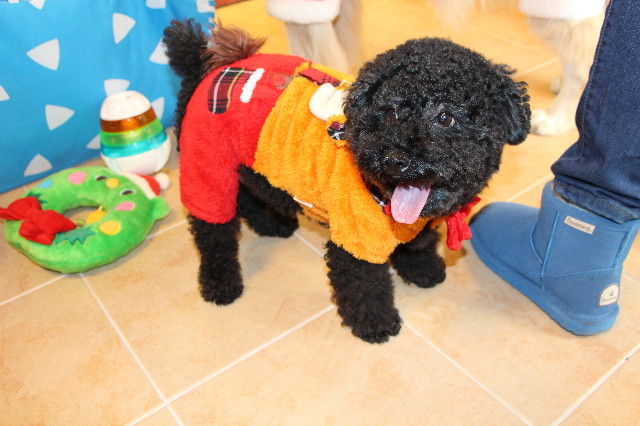 ファイル 4149-1.jpg