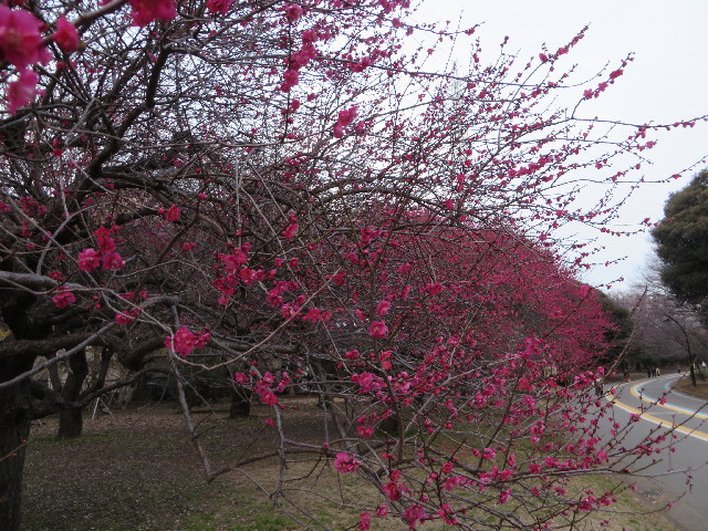 ファイル 4150-4.jpg