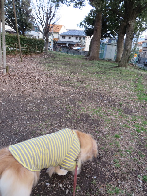 ファイル 4151-2.jpg