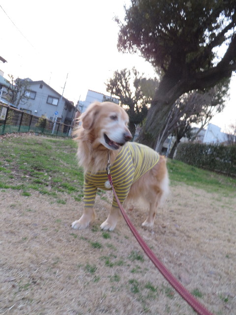 ファイル 4151-3.jpg