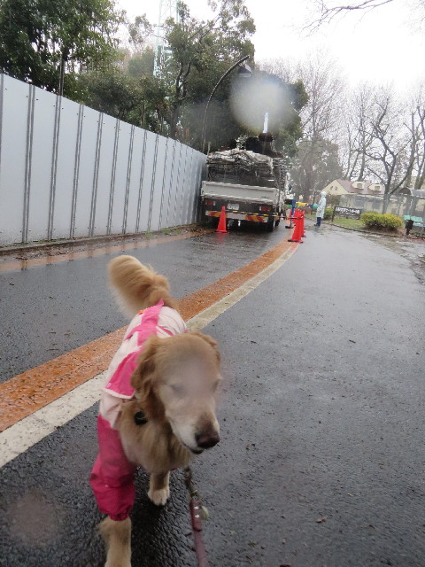 ファイル 4153-5.jpg