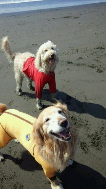 ファイル 4154-1.jpg