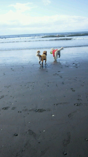 ファイル 4154-3.jpg