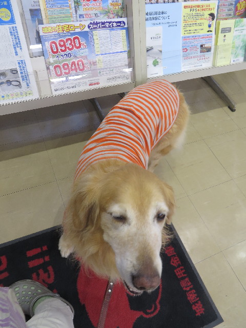 ファイル 4157-3.jpg