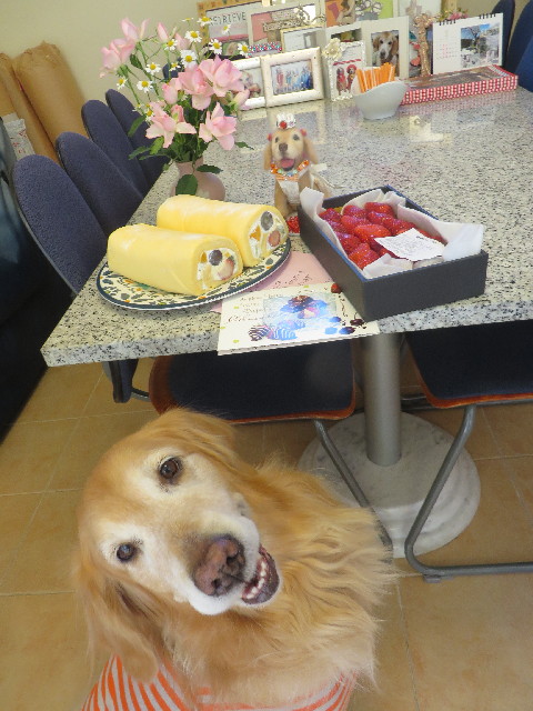 ファイル 4158-1.jpg