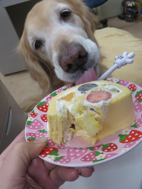 ファイル 4158-2.jpg