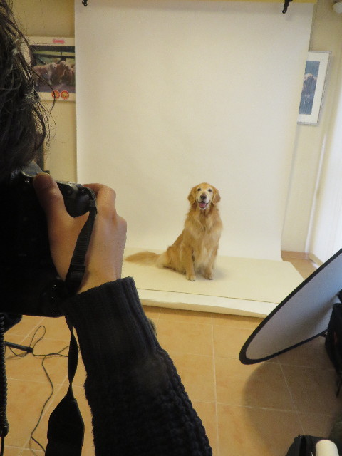 ファイル 4158-4.jpg