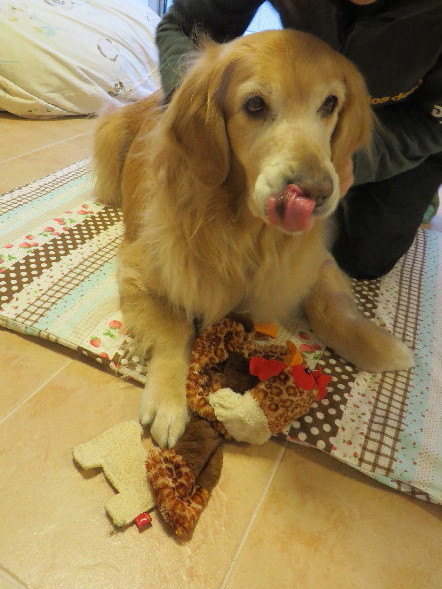 ファイル 4158-5.jpg