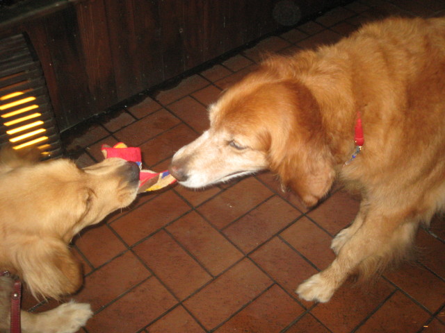 ファイル 416-4.jpg