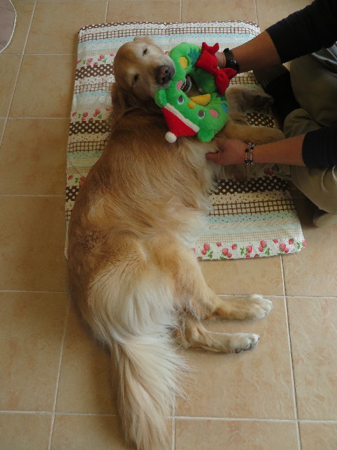 ファイル 4162-2.jpg