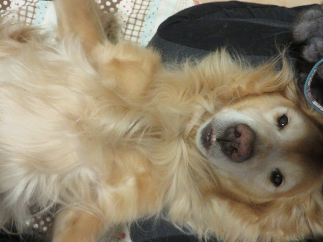 ファイル 4162-5.jpg